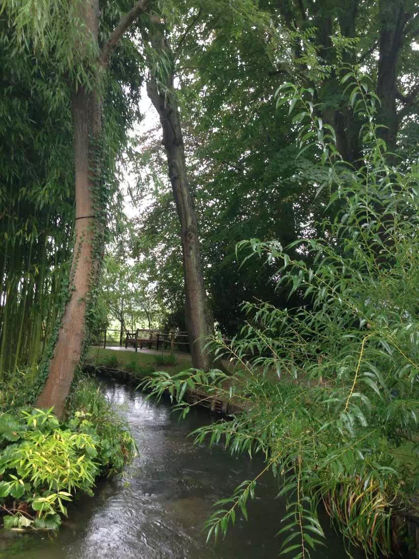 Photo 5 of Les jardins de Claude Monet à Giverny