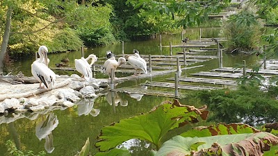 Photo 5 of Zoo de Lille
