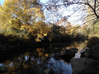 Photo 2 de Parc des Rives du Loup