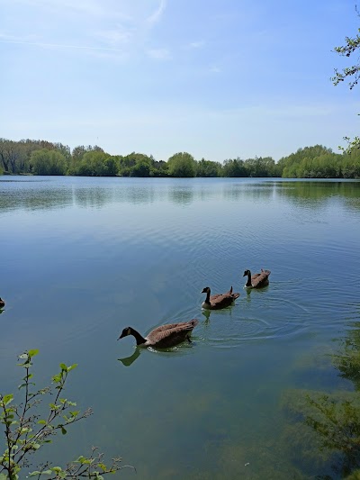 Photo 2 of La Sauvagine