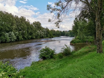 Photo 4 de Plan d'Eau de Cournon-d'Auvergne
