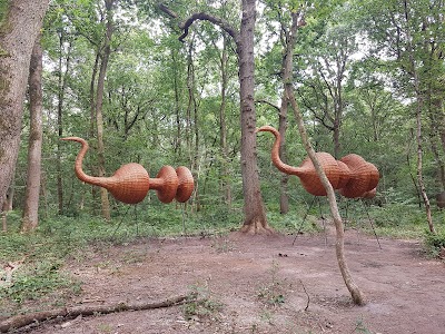 Forêt Monumentale - Le monde dans un gland