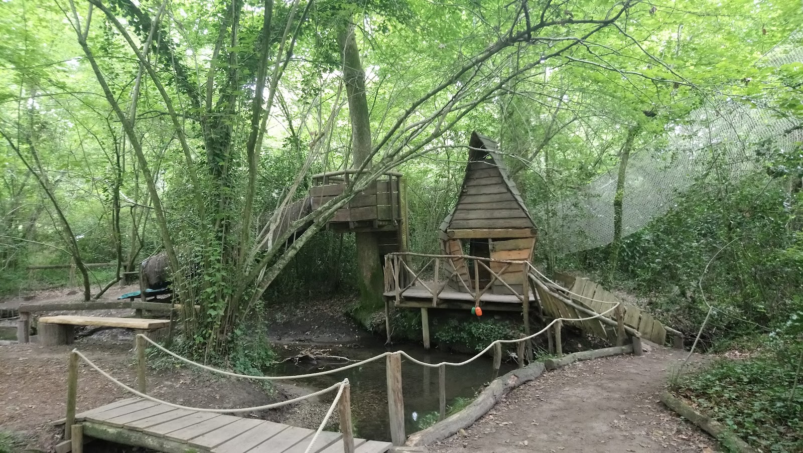 Photo 4 of La forêt des vert-tiges