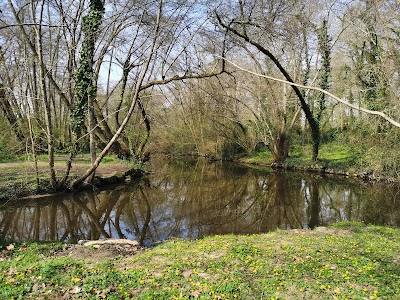 Photo 2 de Parc du Moulin d'Ornon