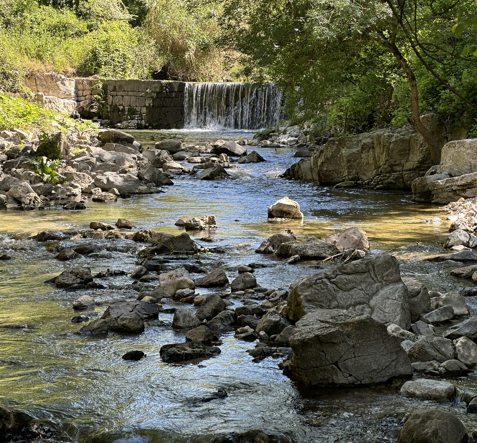 La rivière enchantée Mouans-Sartoux