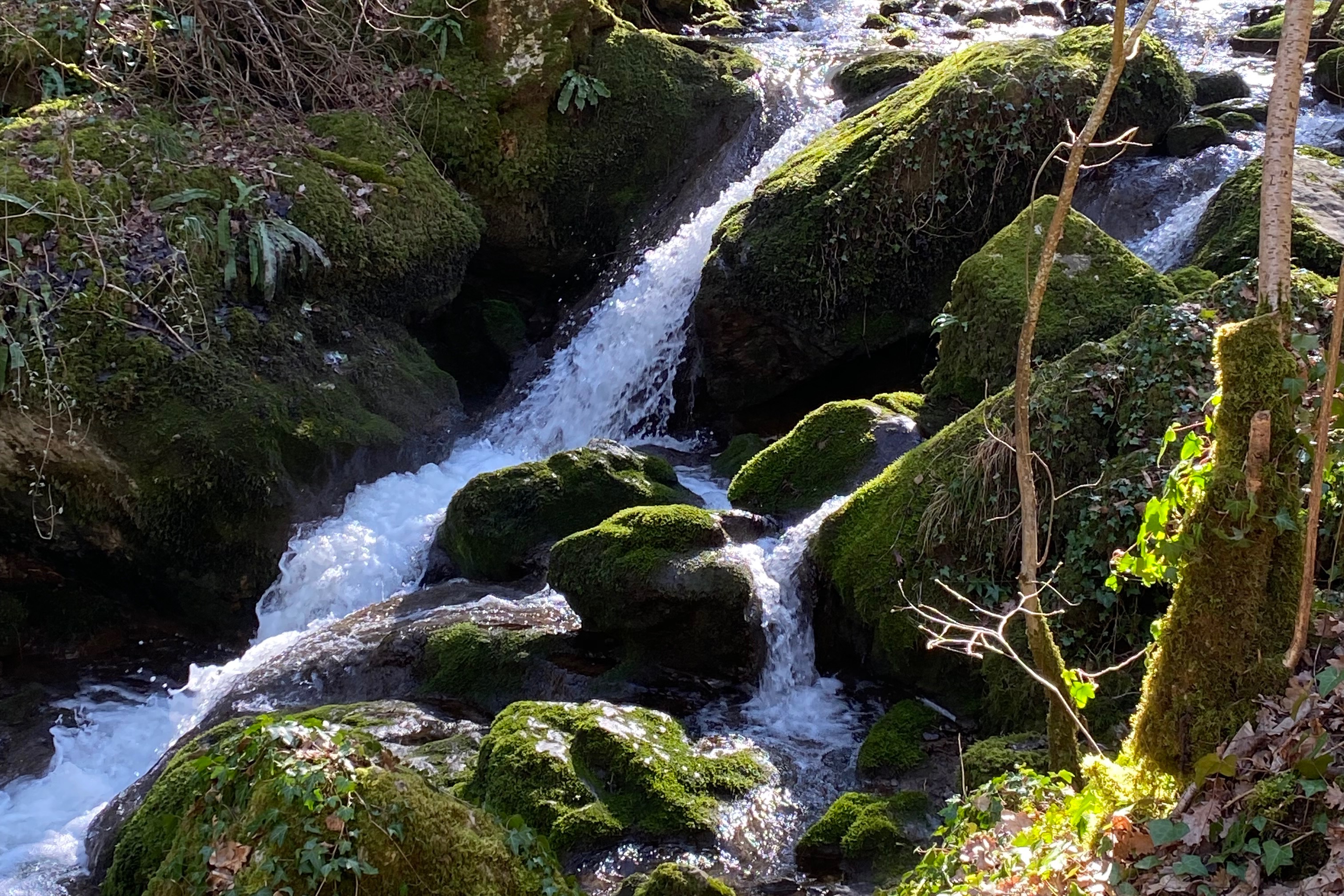 Photo 5 de Cascade d'Autoire