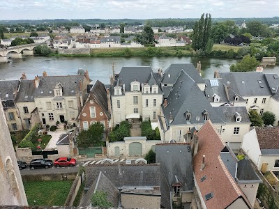 Photo 4 de Château royal d'Amboise