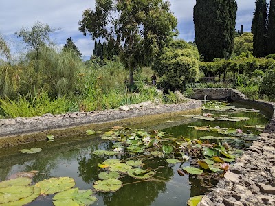 Photo 3 de Jardins du MIP (Musée International de la Parfumerie) - Mouans-Sartoux