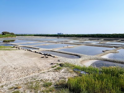 Photo 4 de Marais Salants de Guérande
