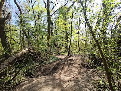 Bois de Warwamme