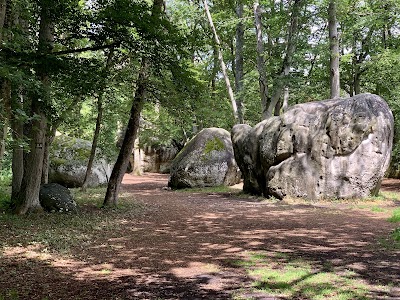 Photo 2 de Forêt de Fontainebleau