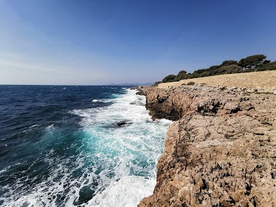 Photo 2 de Le Sentier du Littoral