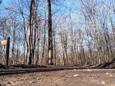 Photo 1 de Parcours Vita fontaine