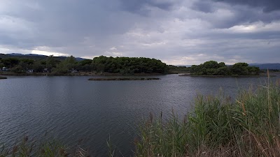 Photo 2 de Étangs de Villepey