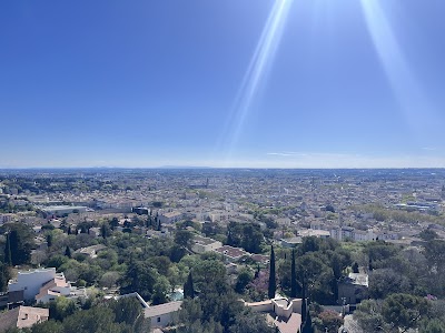 Photo 2 de Tour Magne