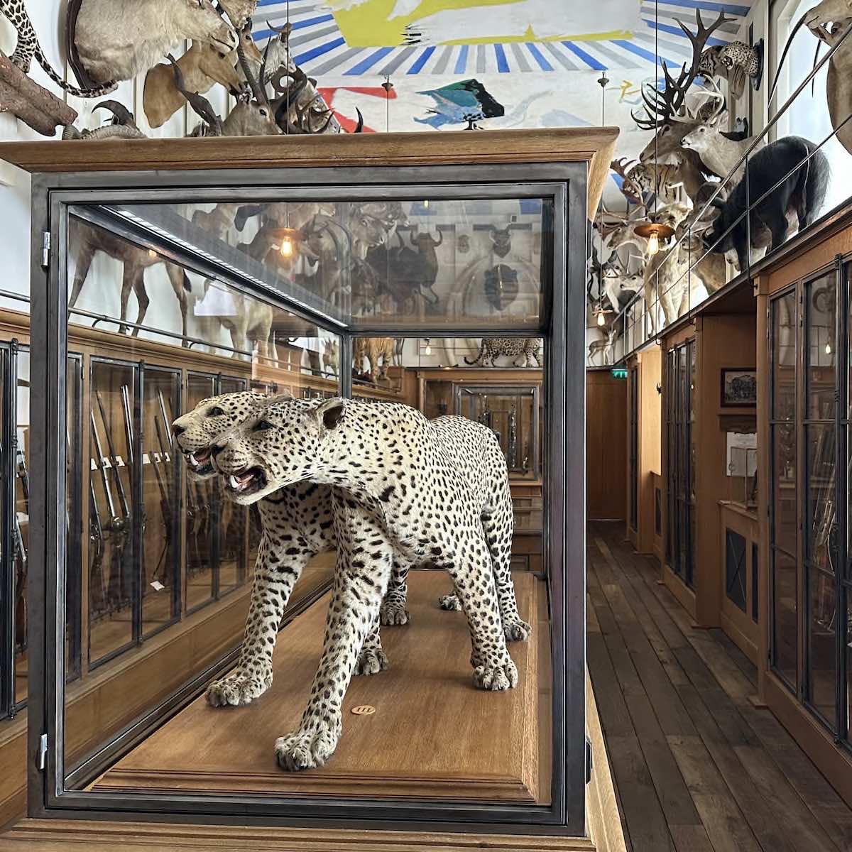 Photo 4 de Musée de la Chasse et de la Nature