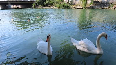 Photo 4 de Parc des Rives du Loup