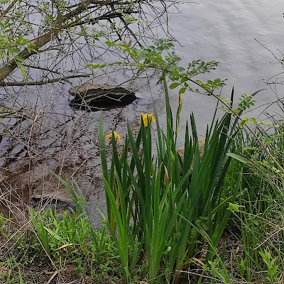 Photo 4 de Lac de Maine