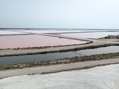 Photo 2 de Salin d’Aigues-Mortes