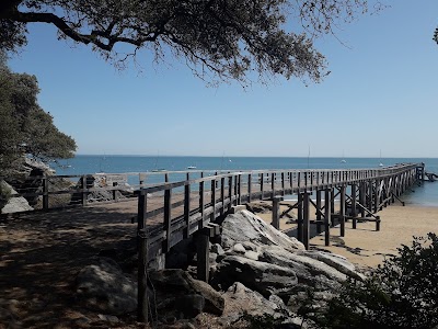 Photo 2 de Plage des Dames