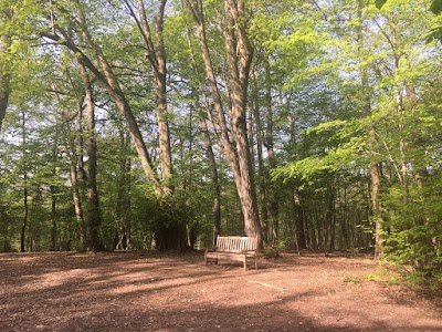 Photo 4 de Château de trangis