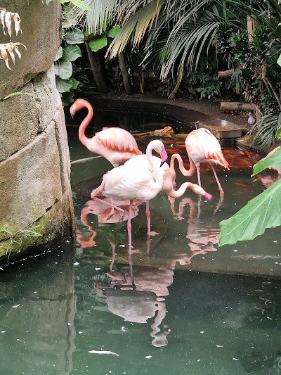 Photo 4 of Parc Phœnix