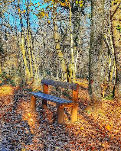 Photo 3 de Forêt de Chailluz