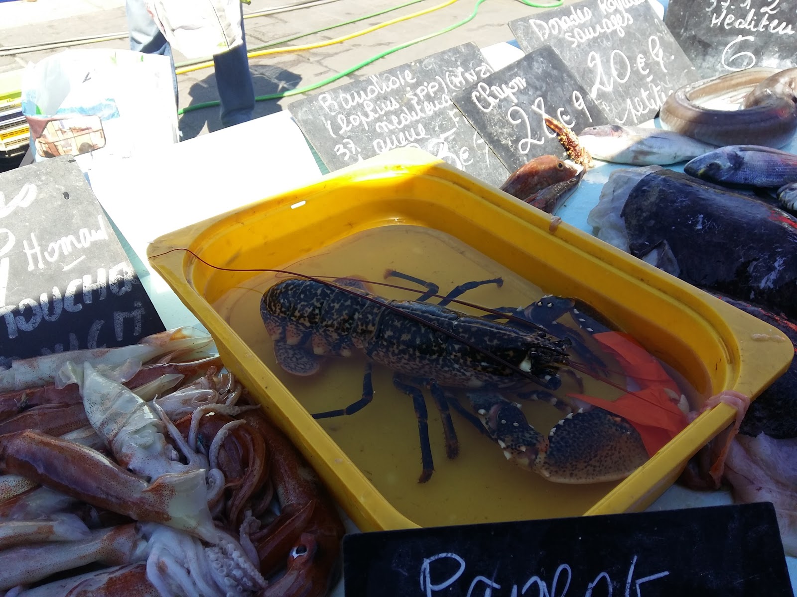 Photo 3 de Marché aux Poissons