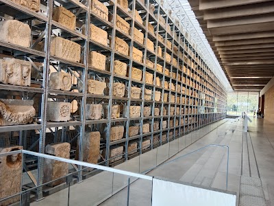 Photo 2 of Musée Narbo Via