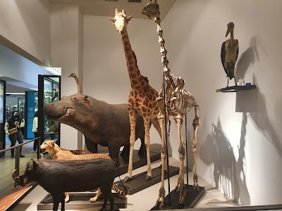Muséum-Aquarium de Nancy