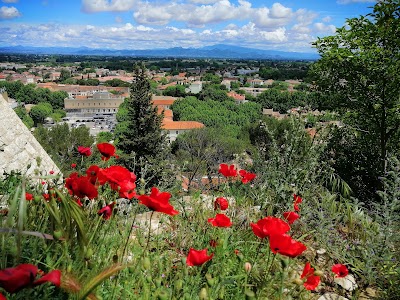 Photo 3 of Colline Saint-Eutrope