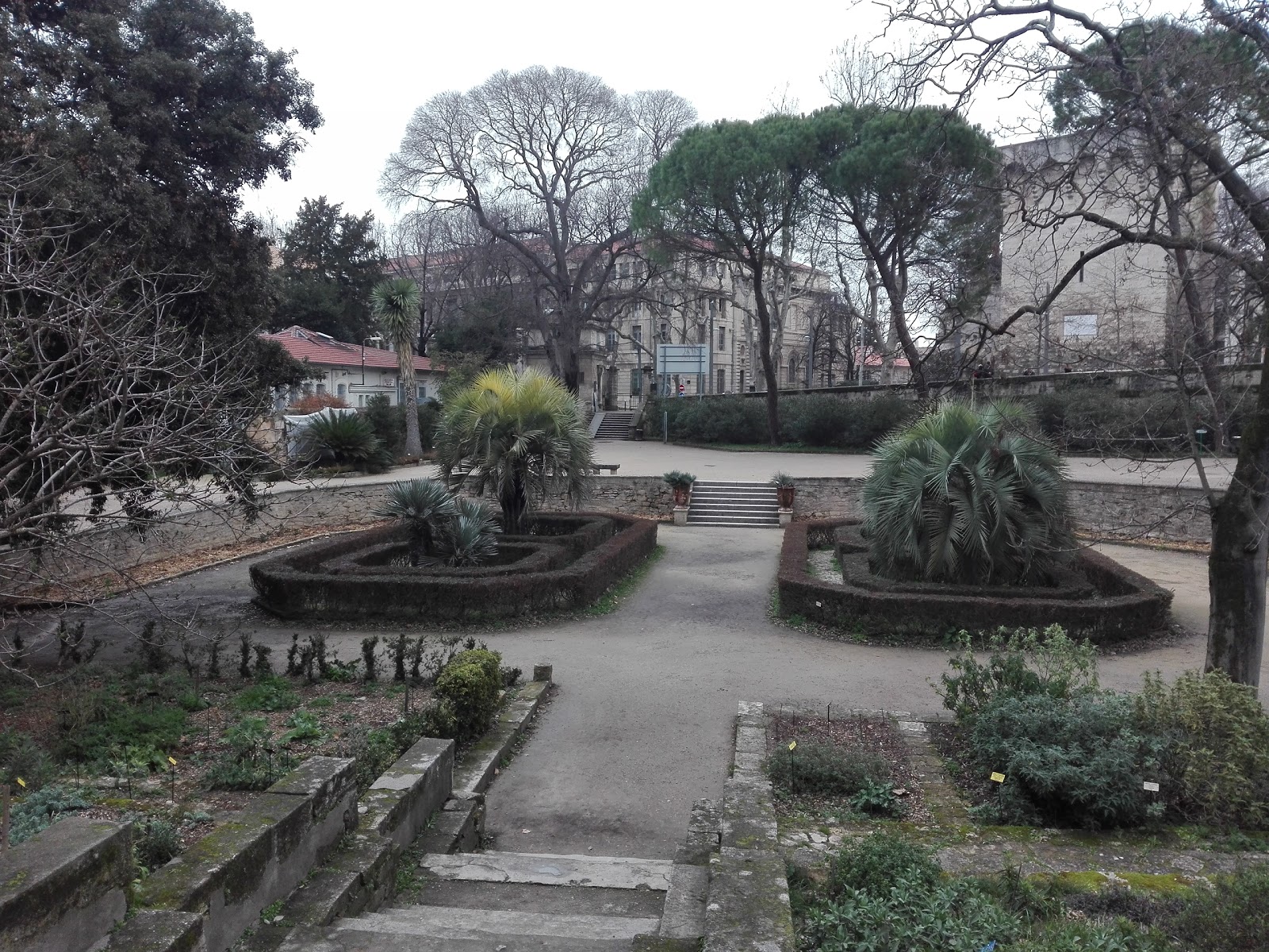 Photo 4 of Jardin des Plantes de Montpellier