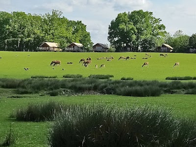 Photo 4 de Parc Animalier de Sainte-Croix