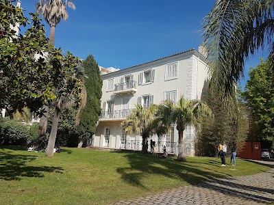 Photo 2 de Musée des Arts Asiatiques