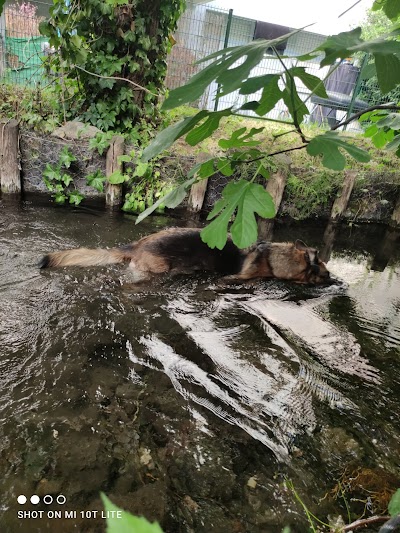 Photo 4 de Canal De Chateauvert