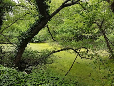 Photo 4 of Islon Saint-Luc
