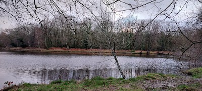 Photo 5 de Forêt de Touffou