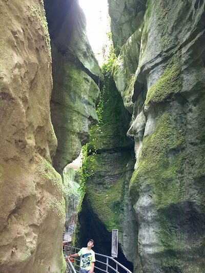 Photo 4 de Gorges du Fier