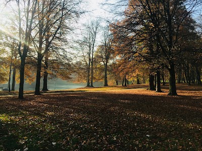 Photo 4 de Bois de la Cambre
