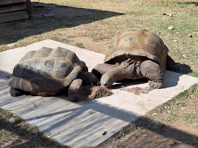 Photo 3 de La Vallée des Tortues