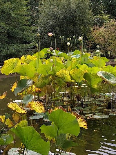 Photo 4 de Parc du Vivier