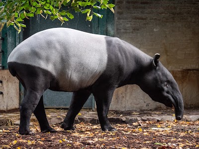 Photo 2 de Ménagerie du Jardin des plantes