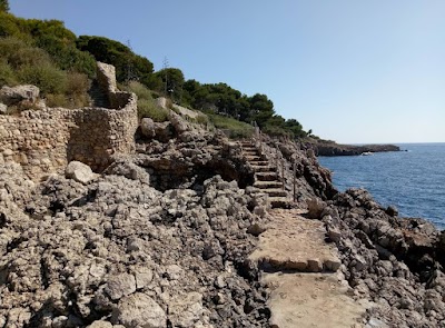 Photo 3 de Le Sentier du Littoral
