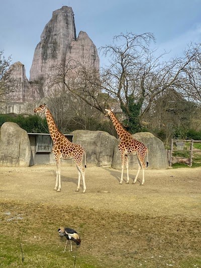 Photo 3 de Parc zoologique de Paris