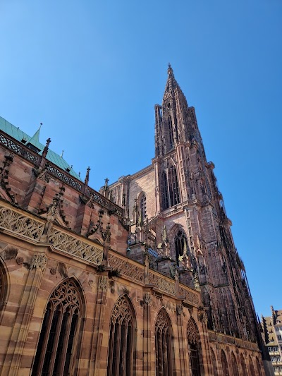 Photo 2 of Cathédrale Notre Dame de Strasbourg