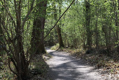 Photo 2 of Bois de Pau
