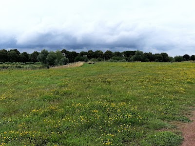 Photo 3 de Bois de Florimond