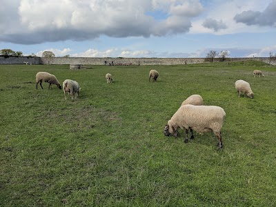 Photo 2 de Les Fermes de Gally - Ferme pédagogique