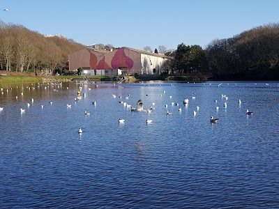Photo 2 de Centre Sportif de la Cavale blanche