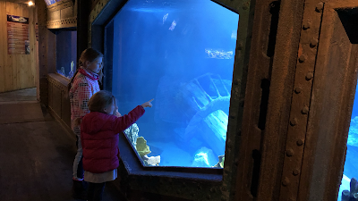 Aquarium d'Amnéville